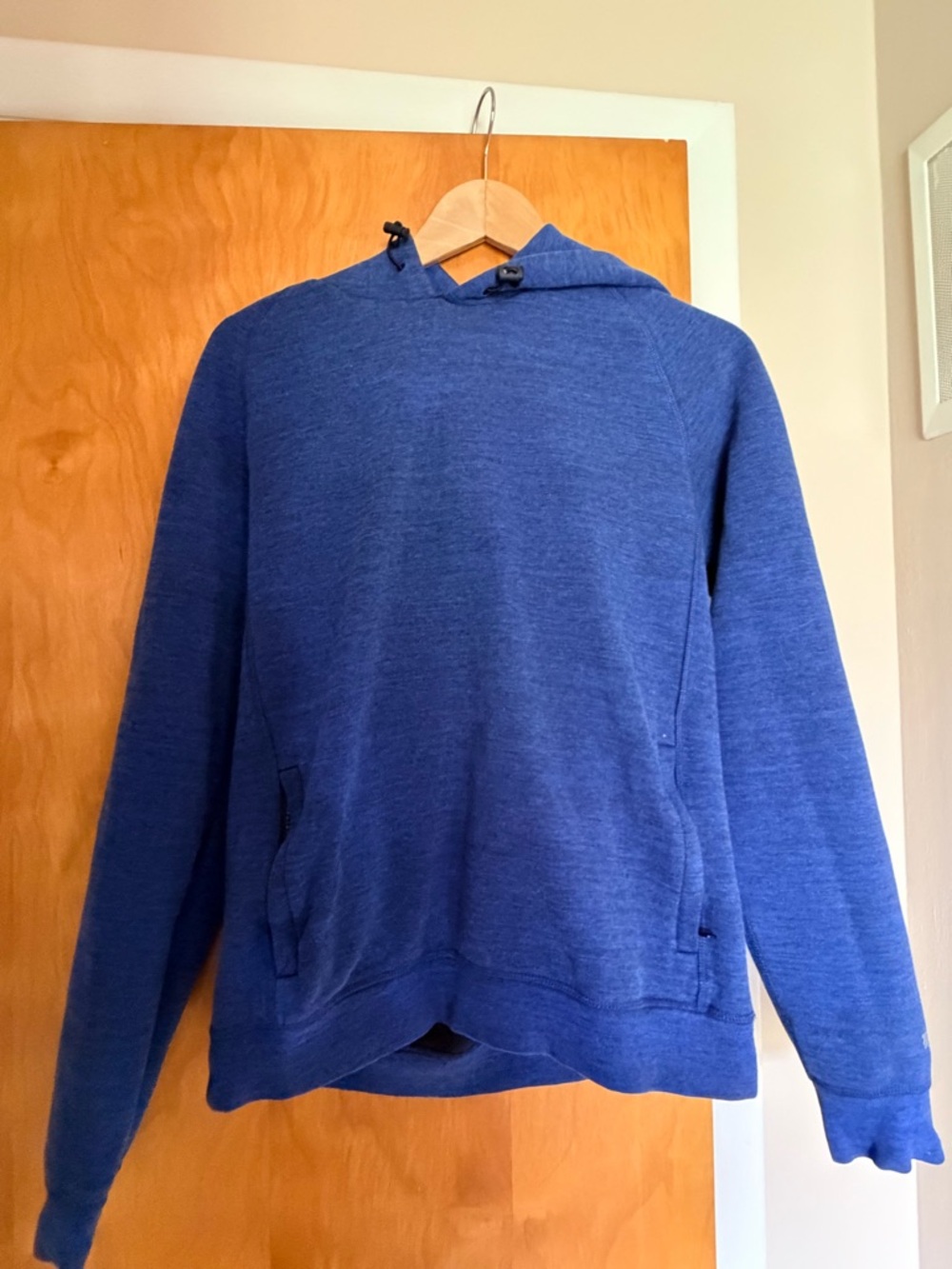 American Eagle Outfitters Blue Hooded Sweatshirt